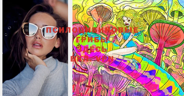 шишки Козельск