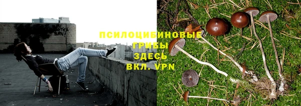 apvp Костерёво