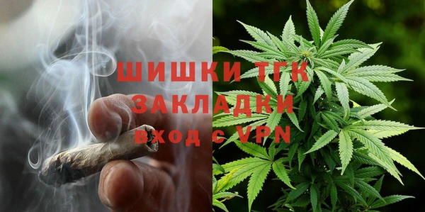 шишки Козельск