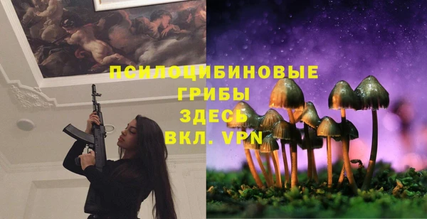 марихуана Коряжма