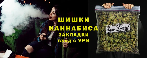 шишки Козельск