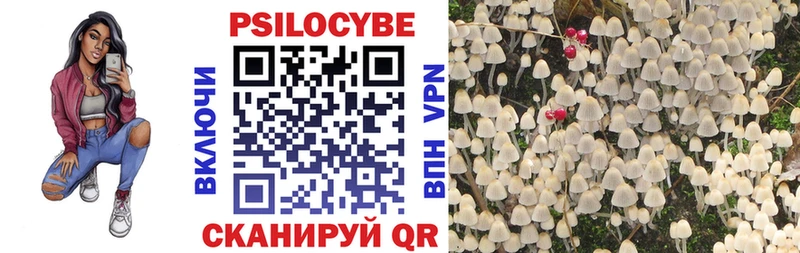 Купить закладки  Балахна  Галлюциногенные грибы прущие грибы 